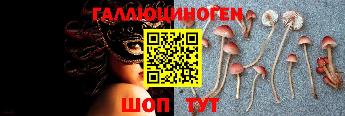 Галлюциногенные грибы MAGIC MUSHROOMS Ухта